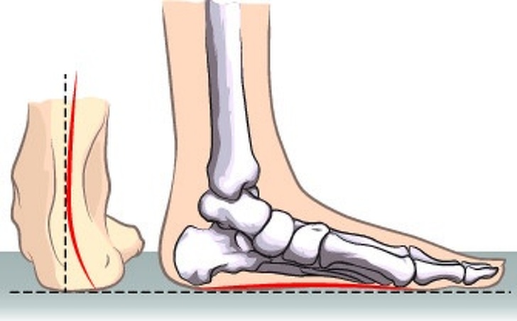 Hình ảnh về cấu tạo xương chân